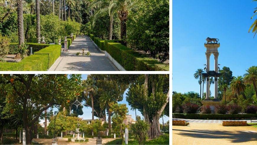 Murillo Gardens Seville