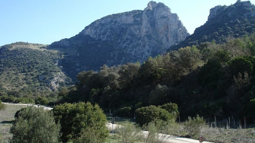 Zaframagón Rock